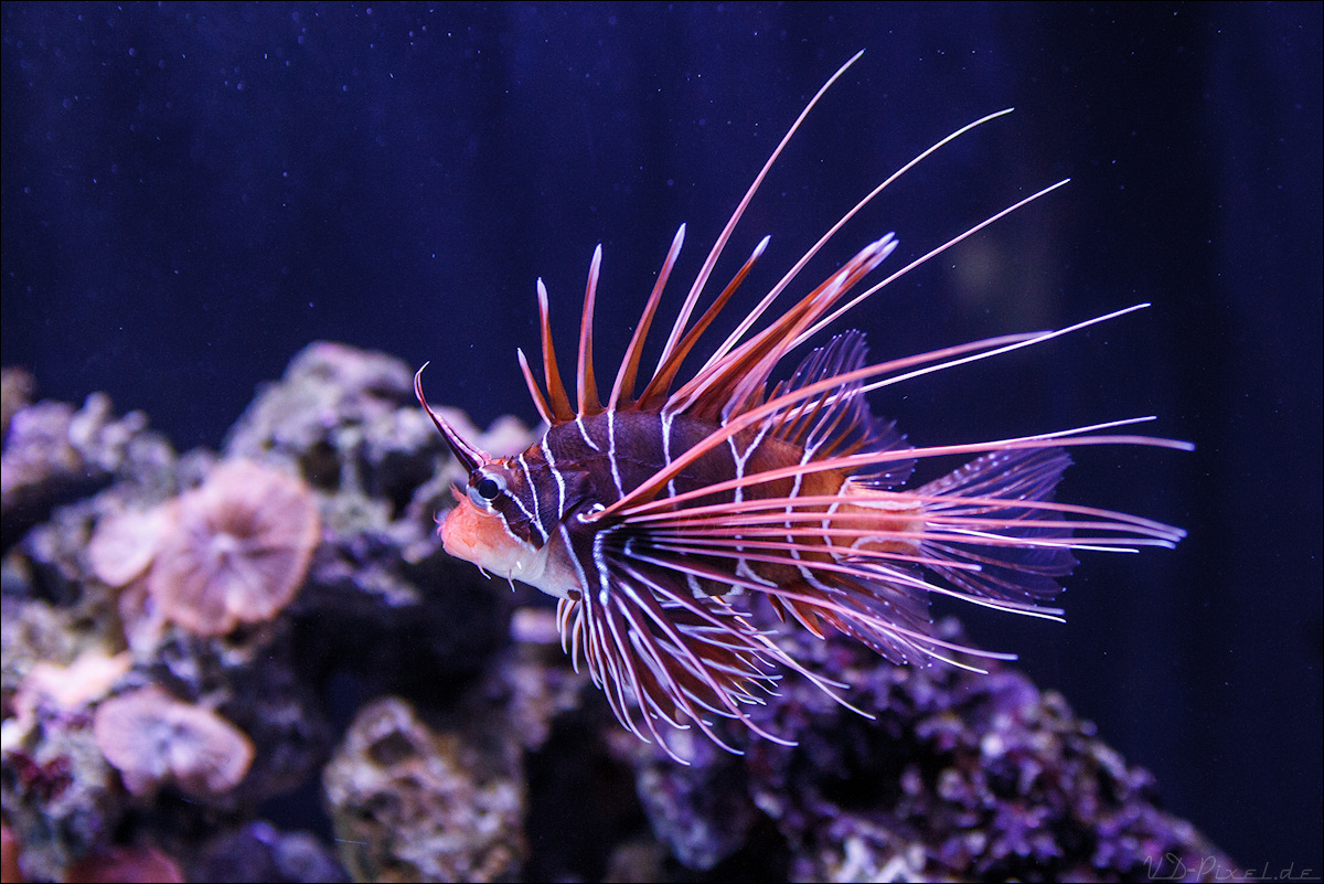 Seattle Aquarium